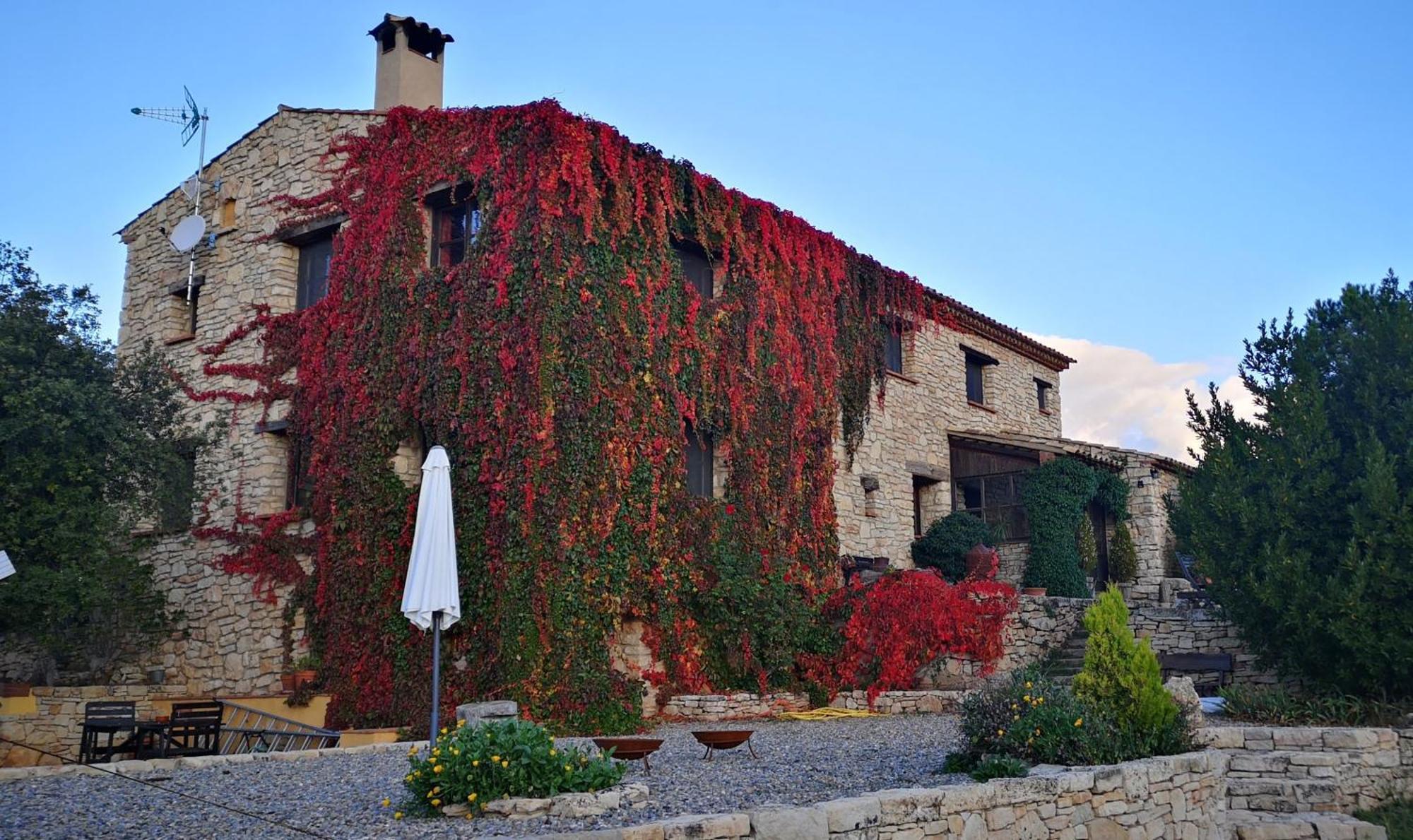 Mas De L'Arlequi Guest House Rojals Eksteriør bilde
