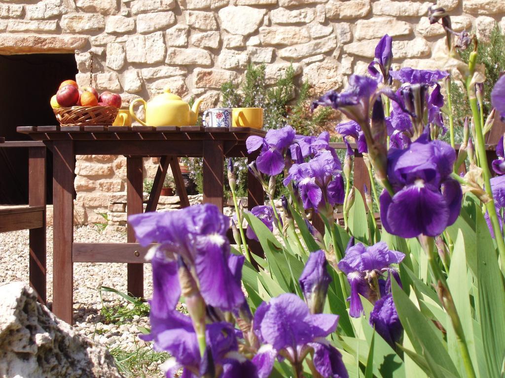 Mas De L'Arlequi Guest House Rojals Eksteriør bilde